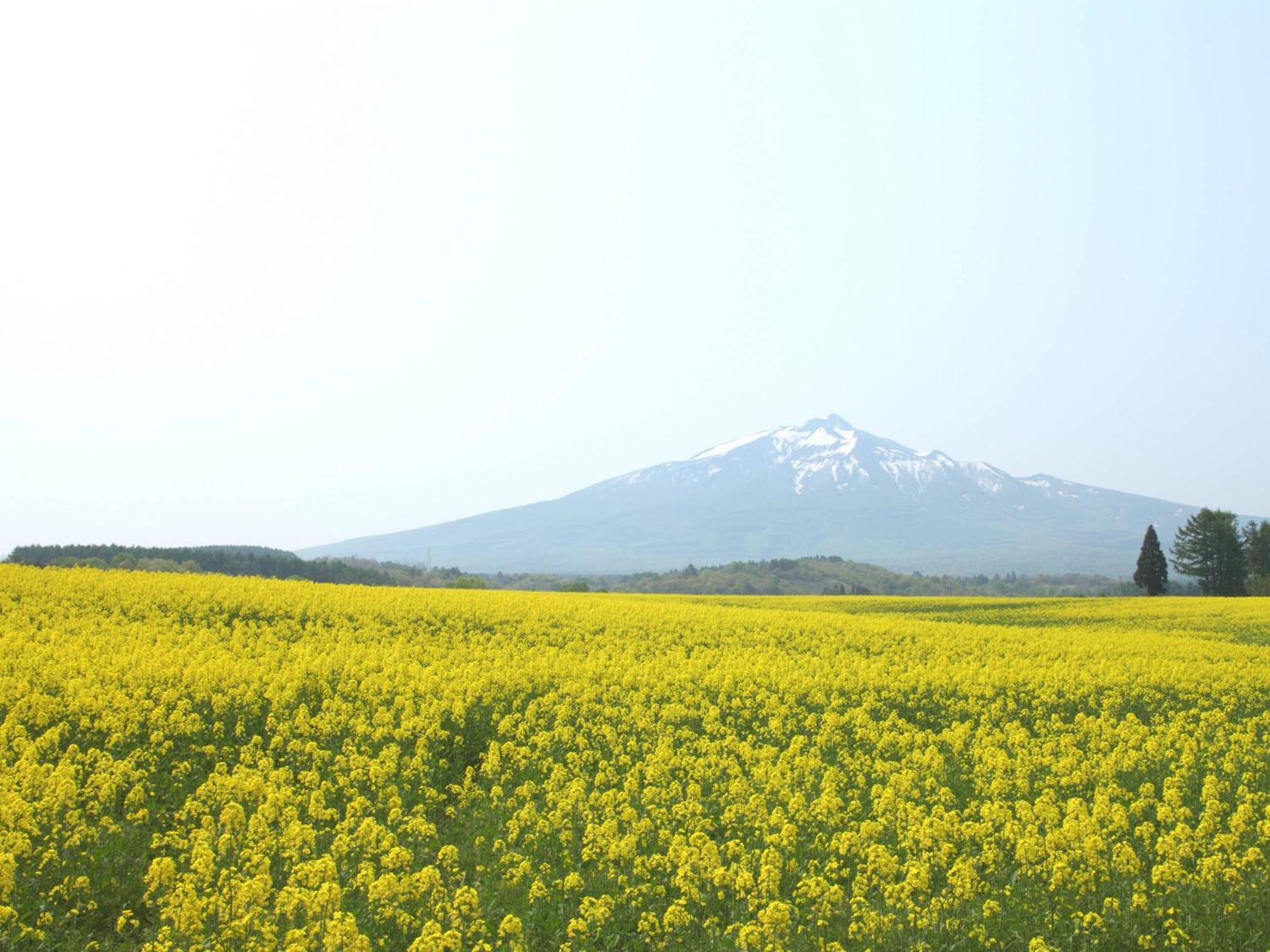 Apa Hotel Aomori Ekihigashi Bagian luar foto